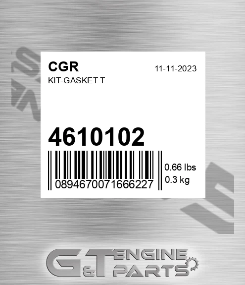 4610102 CGR Kit-gasket T