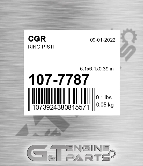 107-7787 Ring-pisti