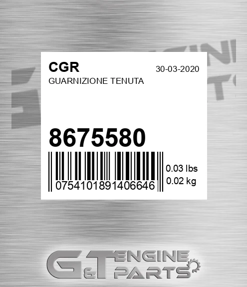 8675580 Guarnizione Tenuta