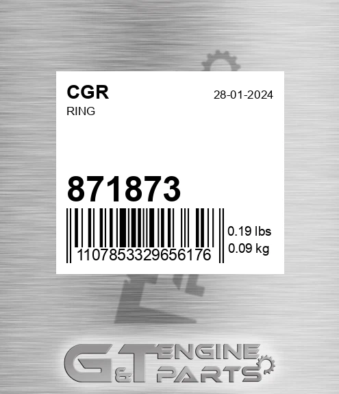 871873 Ring