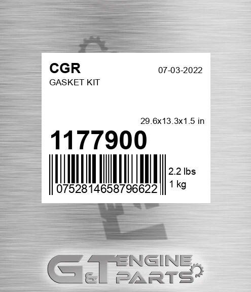 1177900 CGR Gasket Kit