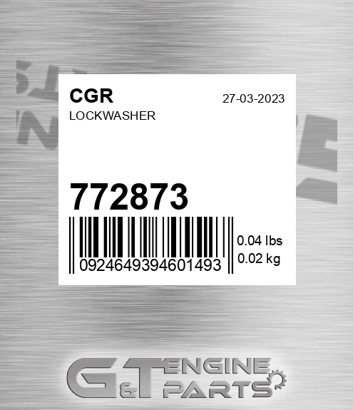 772873 Lockwasher