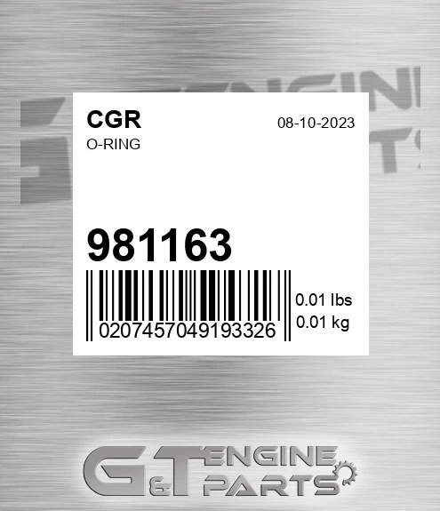 981163 O-ring