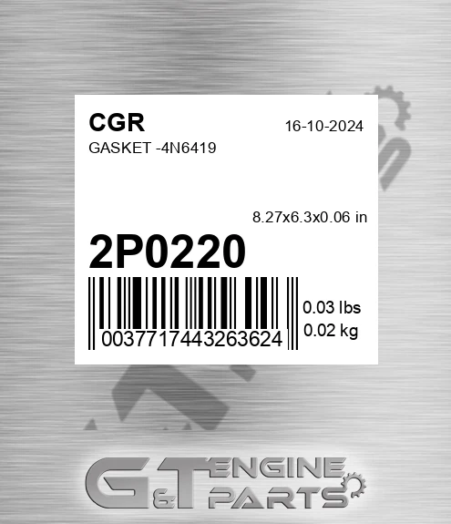 2P0220 Gasket -4n6419