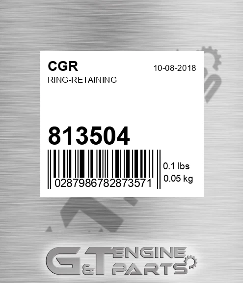 813504 Ring-retaining