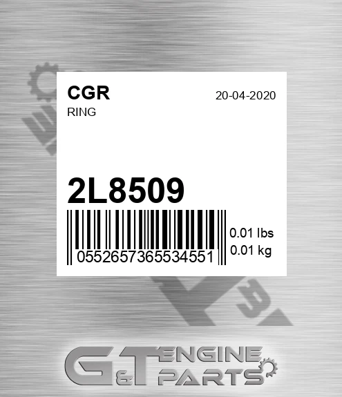 2L8509 Ring