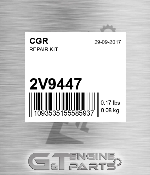 2V9447 CGR Repair Kit