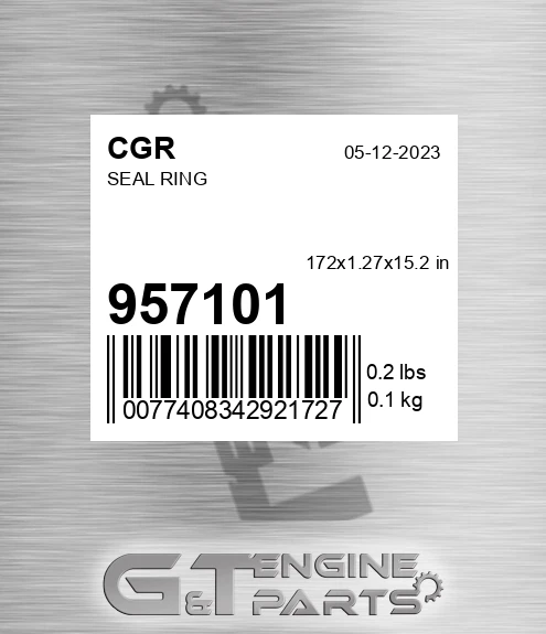 957101 Seal Ring