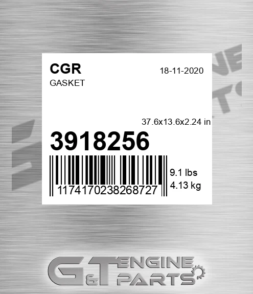 3918256 CGR Gasket