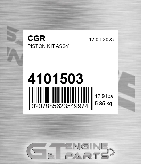 4101503 Piston Kit Assy