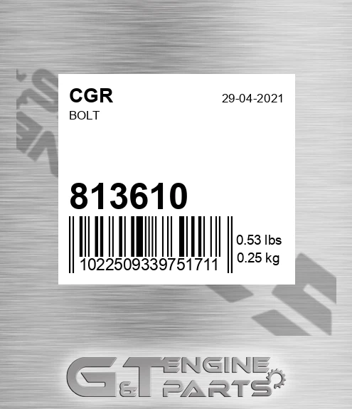 813610 Bolt