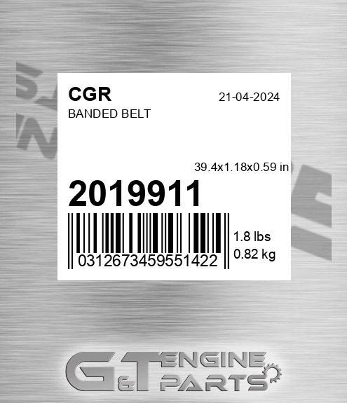 2019911 Banded Belt