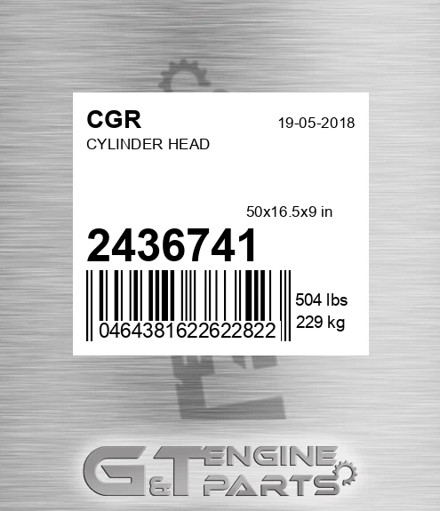 2436741 Cylinder Head