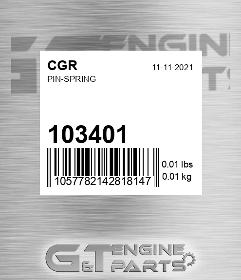 103401 Pin-spring