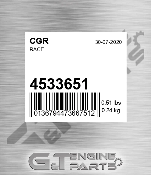 4533651 Race