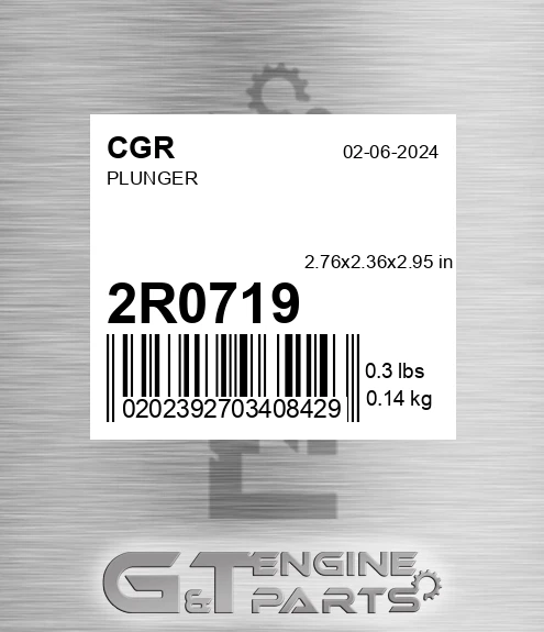 2R0719 Plunger