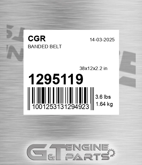1295119 Banded Belt