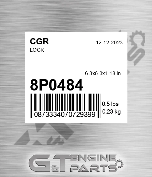 8P0484 Lock