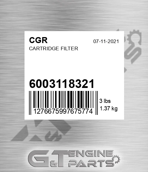 6003118321 Cartridge Filter for CGR