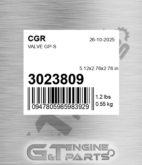 3023809 CGR Valve Gp-s