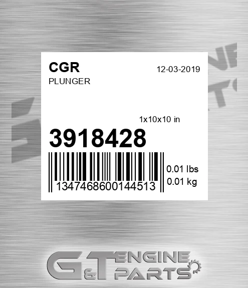 3918428 Plunger