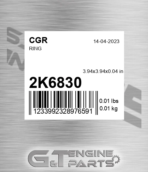 2K6830 Ring