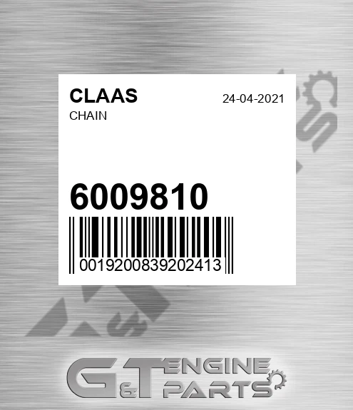 6009810 Chain for CLAAS
