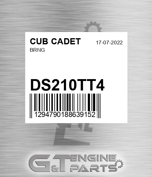 DS210TT4 Brng for CUB CADET