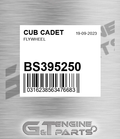BS395250 Flywheel for CUB CADET