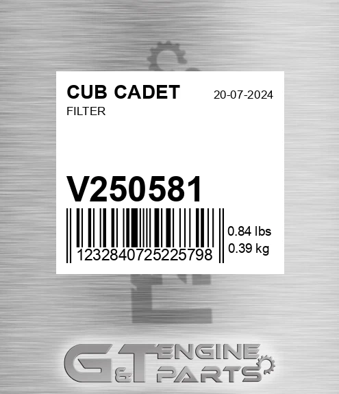 V250581 CUB CADET Filter