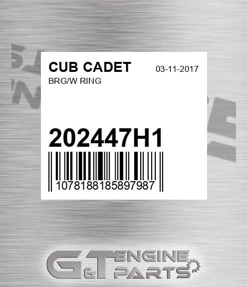 202447H1 Brg/w Ring for CUB CADET
