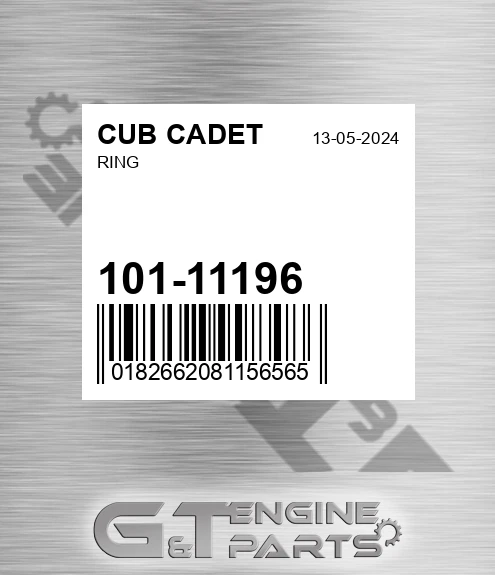 101-11196 Ring