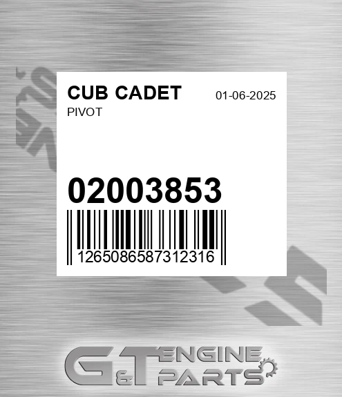02003853 Pivot for CUB CADET