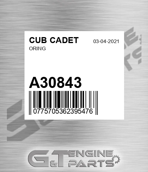 A30843 Oring