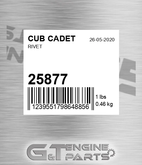 25877 Rivet