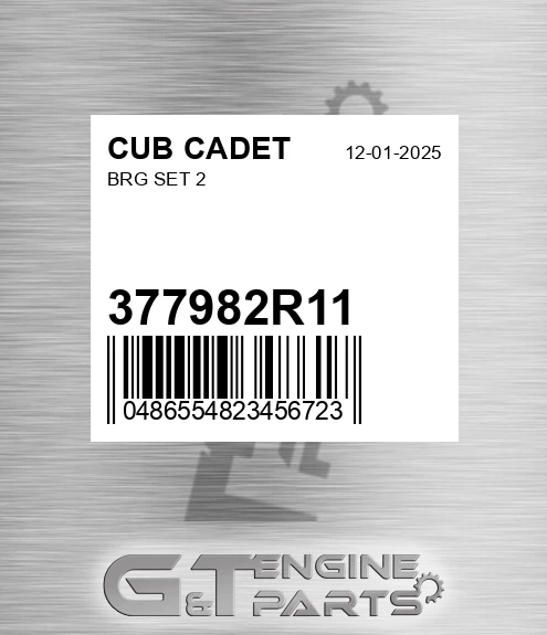377982R11 Brg Set 2 for CUB CADET