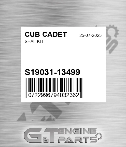 S19031-13499 Seal Kit