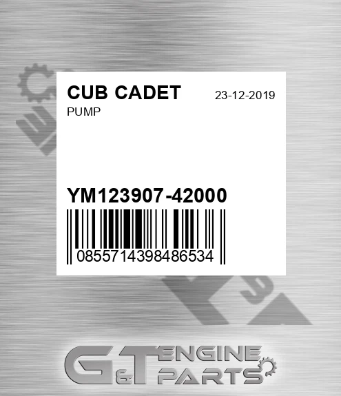 YM123907-42000 Pump