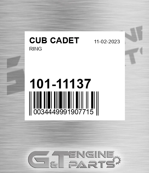 101-11137 Ring