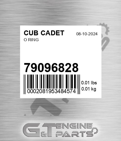 79096828 O Ring
