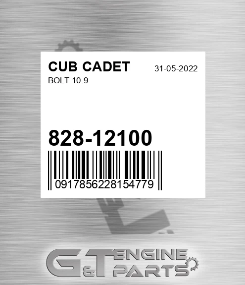 828-12100 Bolt 10.9
