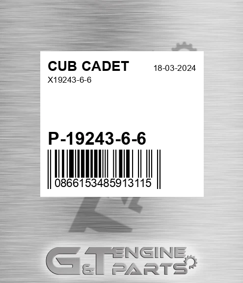 P-19243-6-6 X19243-6-6 for CUB CADET