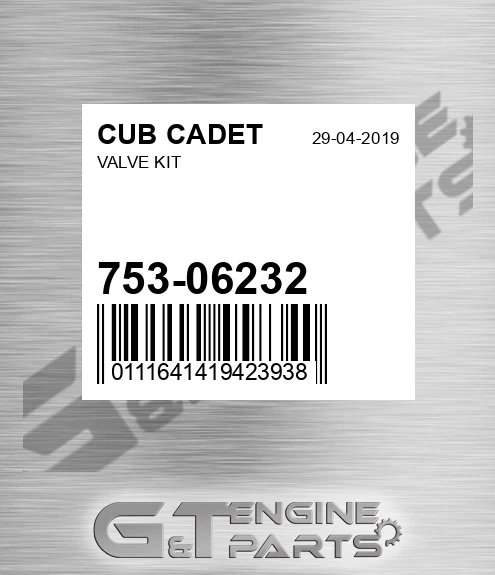 753-06232 Valve Kit for CUB CADET