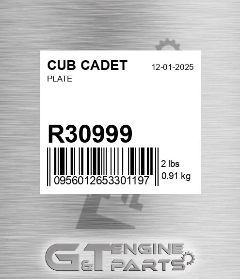 R30999 Plate