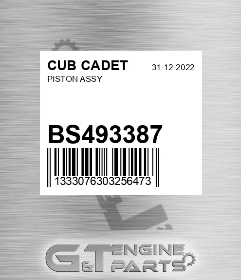BS493387 Piston Assy for CUB CADET