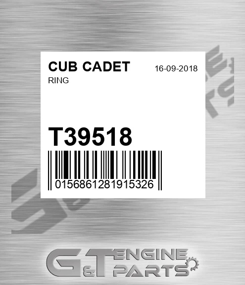T39518 Ring