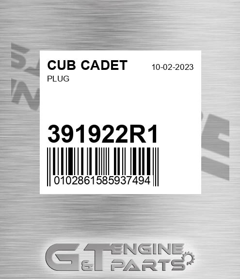 391922R1 Plug