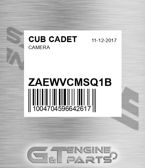 ZAEWVCMSQ1B Camera for CUB CADET