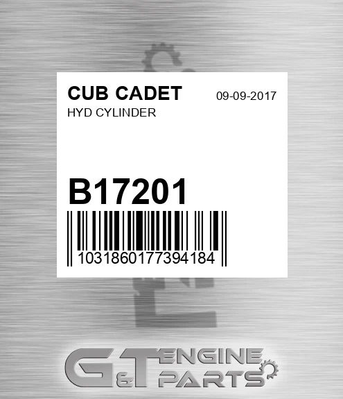 B17201 Hyd Cylinder