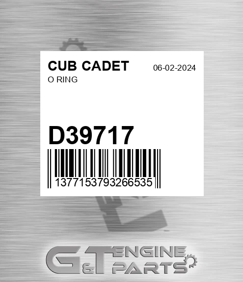 D39717 O Ring